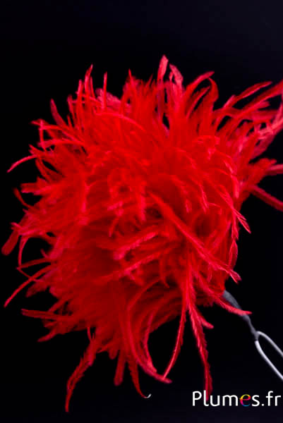 Plumet autruche avec anneau - ht 18-20 cm - rouge